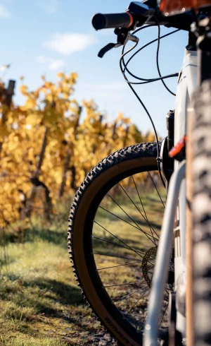 Radfahren 1